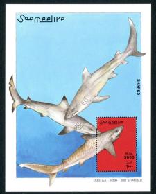 索马里2003年邮票鲸鱼小型张新