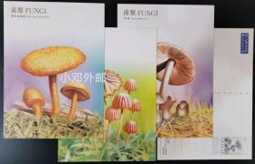 香港 2004年菌类邮票邮资片