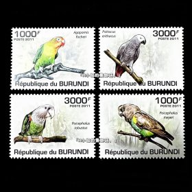 非洲布隆迪邮票 2011年 鸟类鹦鹉 4全