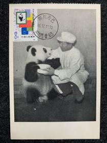 J63-1熊猫极限片