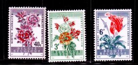 M9比利时邮票 1960根特花卉展3全 背贴