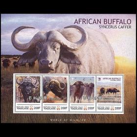 W21多哥2012 非洲水牛 小全张外国邮票
