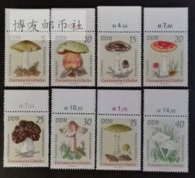 德国邮票 1974年 蘑菇 植物花卉 8全新原胶全品 732