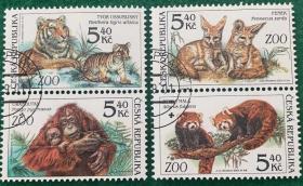 捷克邮票 2001年 雕刻版 动物老虎耳廓狐红毛猩猩小熊猫 盖销4全