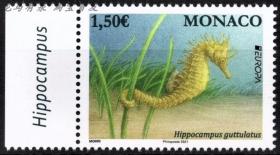 现货摩纳哥邮票2021年欧罗巴 长吻海马 新1全