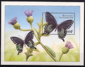 中非2000年蝴蝶、蝴蝶幼虫、花卉小型张，精美外国邮票