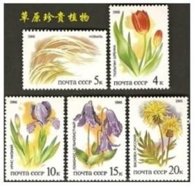 5694 邮票1986年苏联草原珍贵植物 5全