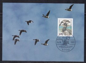 002  鸟类（环纹鹅） 1991年 极限片 德国