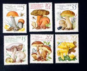 1980年   民主德国邮票东德     欧洲食用菌（蘑菇）6全