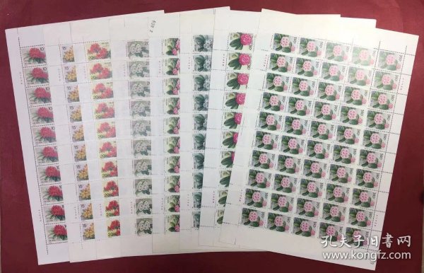 T162杜鹃花8全大版邮票(50套)原胶微黄部分边纸有皱折实物图