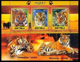 厄立特里亚 2017 动物 中国虎 外国邮票 小型张 全新