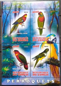 B815刚果邮票2013 鸟类 小全张 6