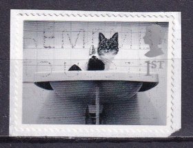 T341 T270 英国邮票 2001 宠物在身边 小猫 1枚 信销剪片