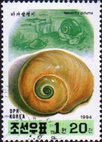 外国 朝鲜邮票1994年贝壳 盖销