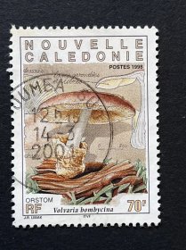 旧票--新喀里多尼亚邮票1998蘑菇