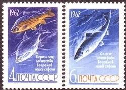 2732苏联邮票-1962年 鱼类 鲤鱼和鲑鱼 2全MNH