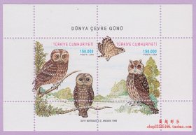 土耳其 动物鸟类邮票 猛禽 猫头鹰（1998）小全张