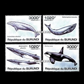 非洲布隆迪邮票 2011年 海洋动物海豹鲸鱼 4全