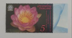 泰国2016年发行 花卉邮票 荷花莲花 1全