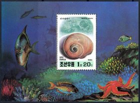 朝鲜邮票 1994年 贝壳小型张