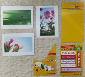 Y28/73-006-德国 花卉与昆虫邮资明信片3全