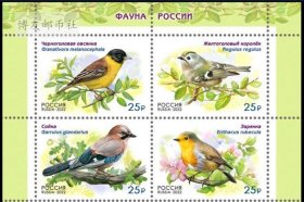 俄罗斯邮票 2022年 动物系列 鸟 4全新方连全品 边纸随机 746