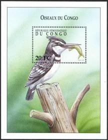 刚果金 扎伊尔动物 2000年 鸟类邮票 翠鸟 冠鱼狗 斑鱼狗 小型张