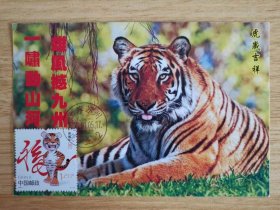 2010-1中国2010年生肖虎年邮票极限片