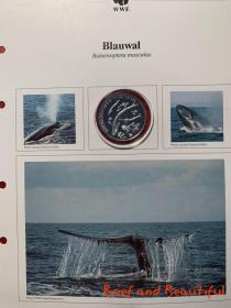 WWF保护濒危野生动物基金会成立30年纪念银币精制币11枚 1994年