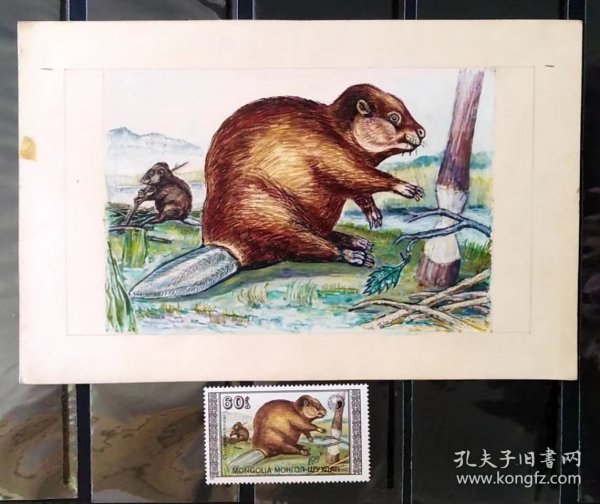 YZB51蒙古1989年海狸  （邮票设计画稿）1件
