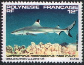 V147   法国波利尼西亚1983年深海鲨鱼邮票