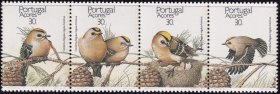葡属亚速尔 1989年 保护自然：鸟 4张  全新  外国邮票
