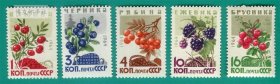 苏联邮票 1964年 花卉植物 野生浆果 5全新 1187