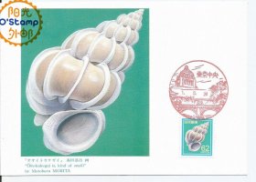 日本 1989年 海螺贝壳 邮票 极限片 一枚