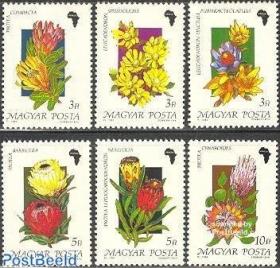 匈牙利邮票1990年非洲花卉6全