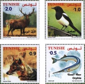 突尼斯2018鸟类鱼类等动物邮票4全