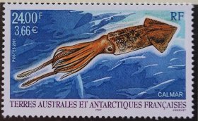 99.法属南极邮票 2001 动物  乌贼  1全 雕刻版  32