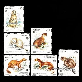 波兰邮票 1984年 保护毛皮动物 6全