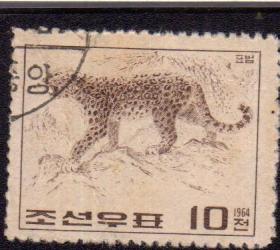 朝鲜邮票1964年动物 豹 盖销