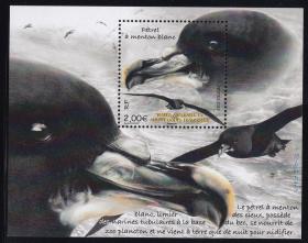 48法属南极 2022 鸟类邮票 信天翁 全新 MNH