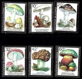 保加利亚1991年毒蘑菇6全新外国邮票