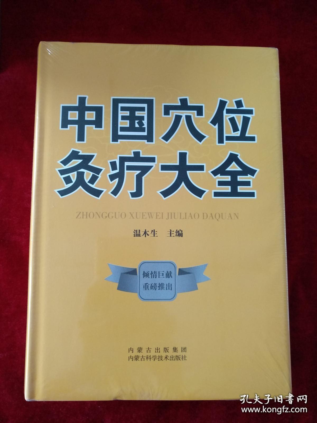 {架9}   中国穴位灸疗大全      书品如图