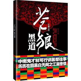 苍狼黑道 安徽文艺出版社