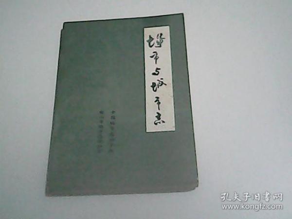 城市与城市志