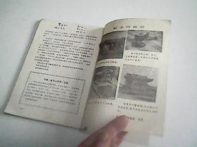 国风诗刊 1982.6