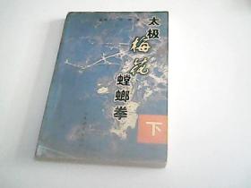 太极梅花螳螂拳 下册