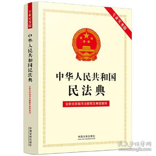 中华人民共和国民法典:专业实务版 : 含新总则编司法解释及典型案例