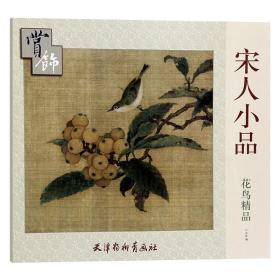 花鸟*赏饰-宋人小品 学国画书 国画入门教材 自学初学基础教程 画谱 国画入门画鸟鱼虫 写意山水 国画山水绘画美术技巧/书籍