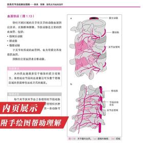 肌骨关节功能解剖图解 推拿按摩扳机点与运动治疗筋膜疗法功能解剖学图谱肌肉骨骼系统人体解剖图谱运动康复正骨整脊手法山东科技