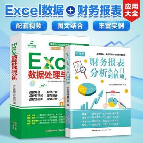 2册财务分析处理 excel数据处理 财务报表分析从入门到精通excel数据处理与分析教材办公软件入门到精通高效办公office会计书籍